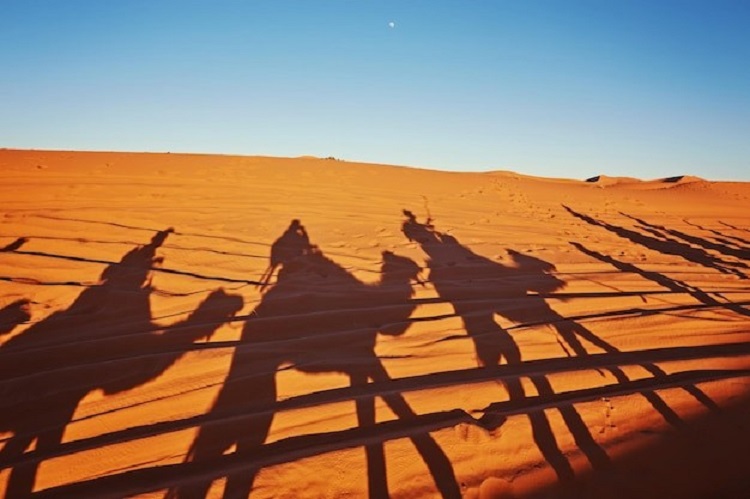 desert safari packages in Dubai.