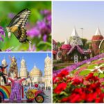Miracle Garden Dubai Tickets