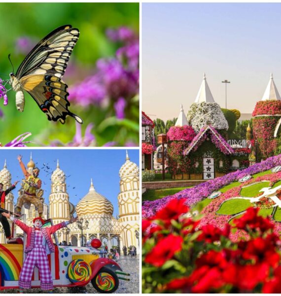 Miracle Garden Dubai Tickets